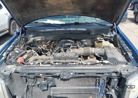 2009 Ford F-150 Stx/Xl/Xlt z USA, uszkodzony, nr VIN 1FTRX12829KB90445